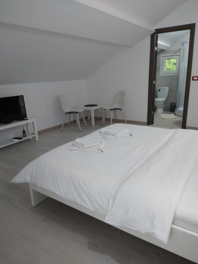 Hotel Casa Patryk Orşova Exteriér fotografie