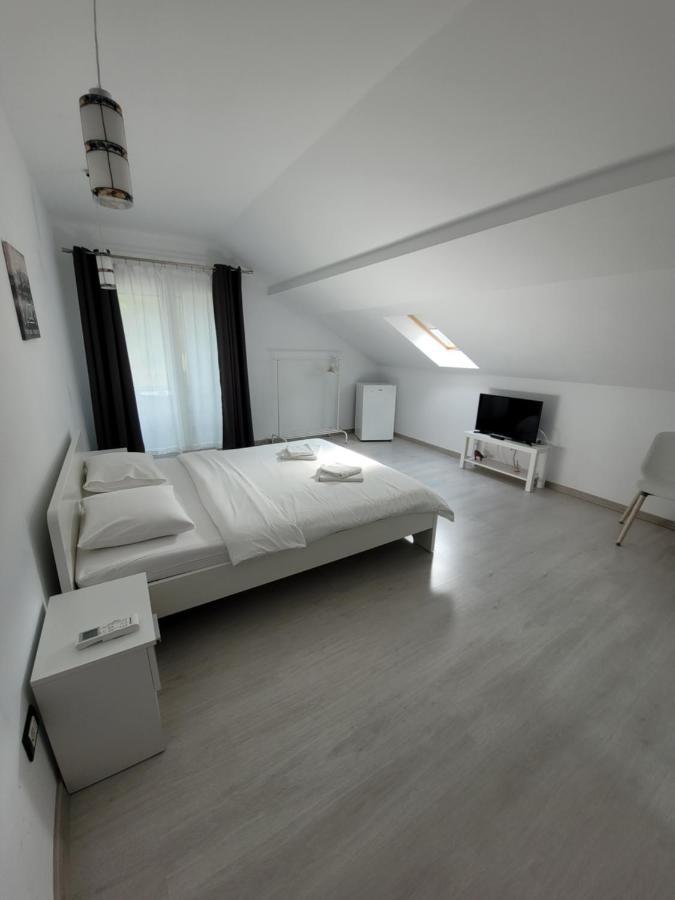 Hotel Casa Patryk Orşova Exteriér fotografie