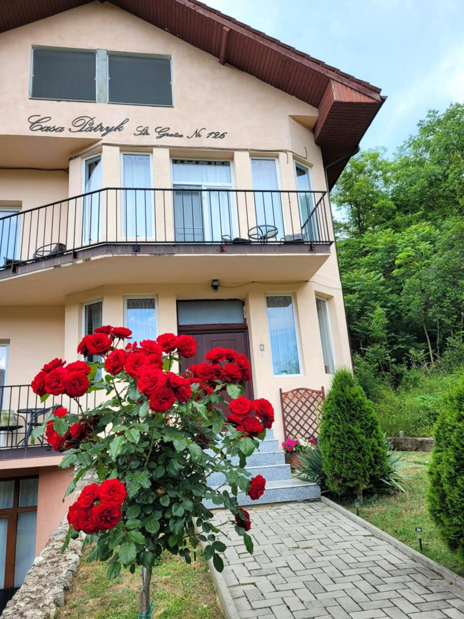 Hotel Casa Patryk Orşova Exteriér fotografie